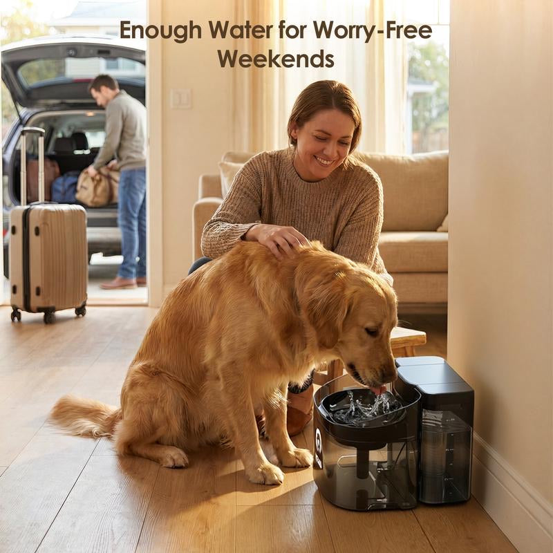 A golden retriever drinking from the VEWO fountain at home.